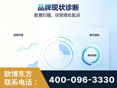 阳春-品牌现状诊断