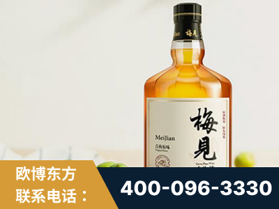 阳春-梅见青梅酒